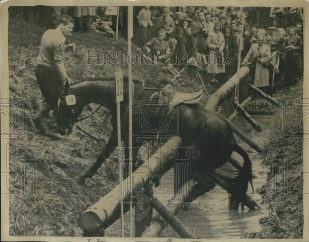 1956 Press Photo Queen&#39;s horse Countryman Ill&quot; gets stuck in Endurance Test&quot; - Historic Images