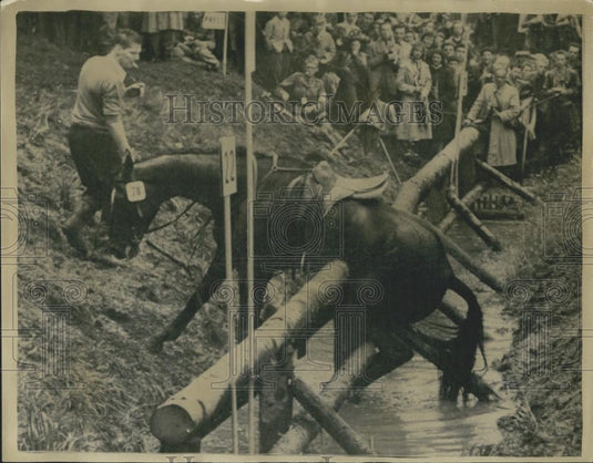 1956 Press Photo Queen's horse Countryman Ill" gets stuck in Endurance Test" - Historic Images