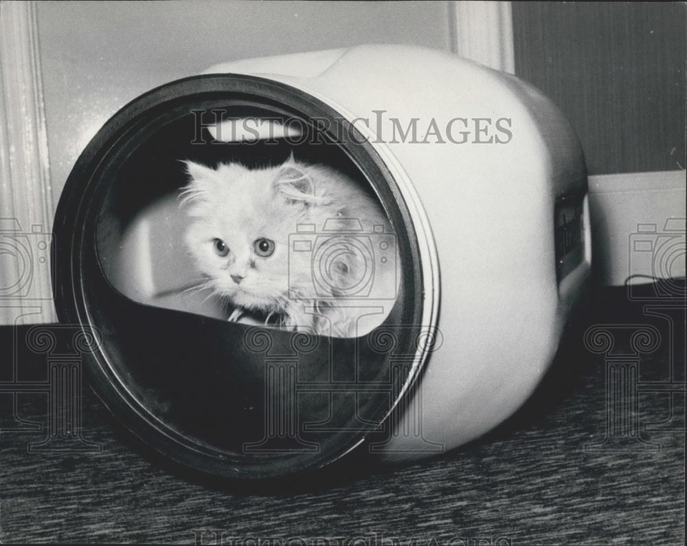 1970 Press Photo British Pet Trade Winter Show - Historic Images