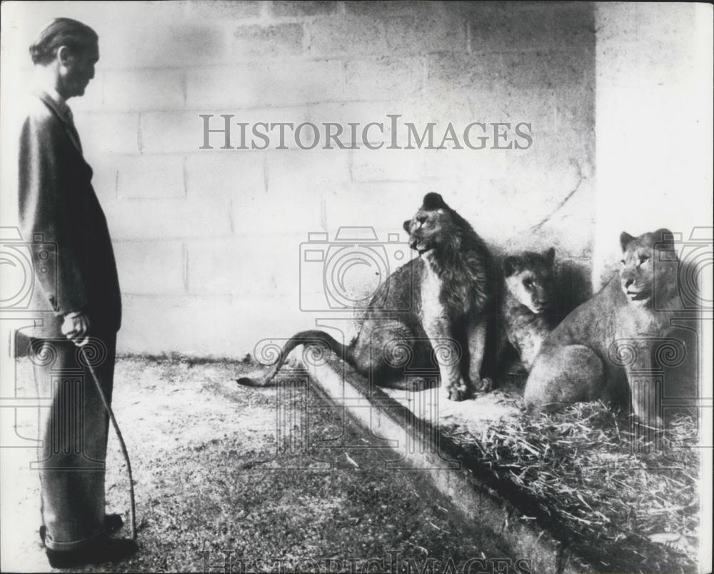 1966 Press Photo Henry Frederick Thynne, Marquis of Bath, Lions - Historic Images