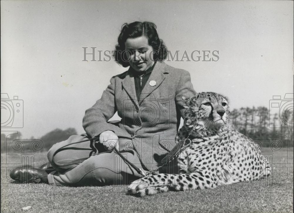 Press Photo Micky, Cheetah - Historic Images