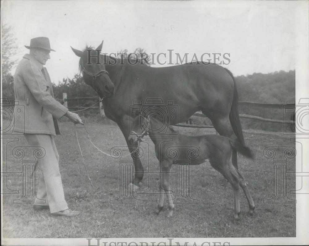 Press Photo World&#39;s Smallest Horse - Historic Images