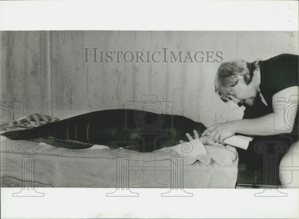 Press Photo zoo of Nurnberg/West Germany seacow baby being fed - Historic Images