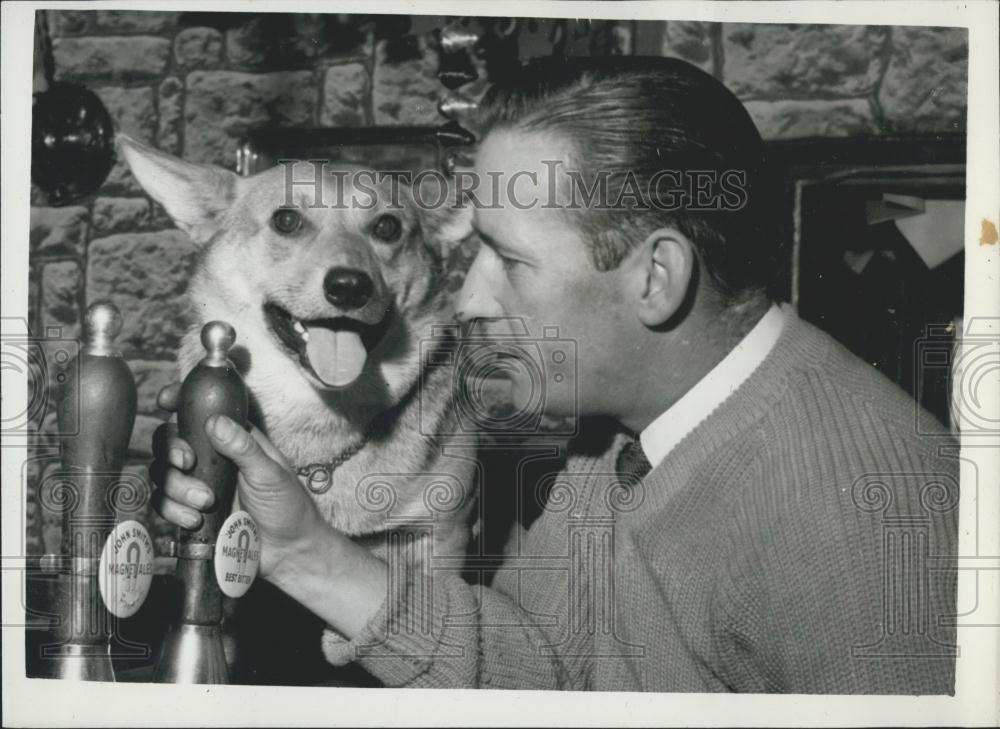 1960 Press Photo Corky the Talking Corgi - Historic Images