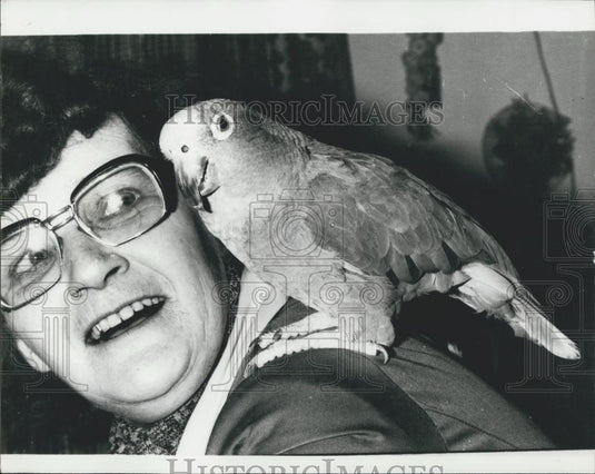 1979 Press Photo Parrot Helps Police Make Arrest In Denmark - Historic Images