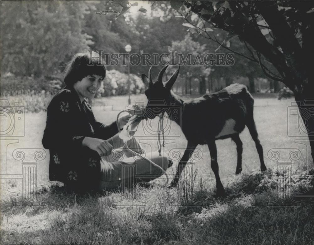 1971 Press Photo Goat - Historic Images