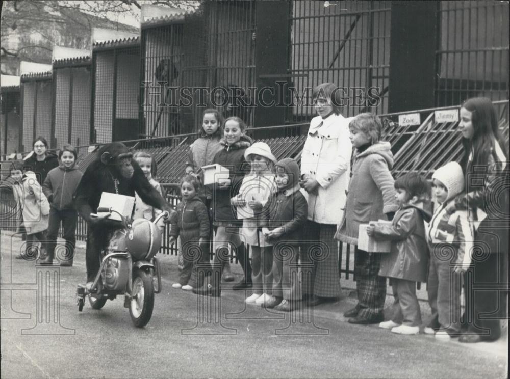 1974 Press Photo Jardin Zoologique de Marseille, Chimpanzee Jojo - Historic Images