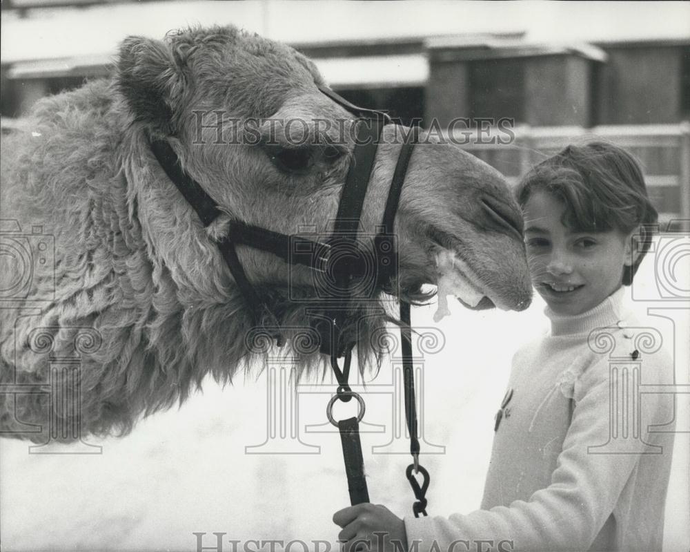 1968 Press Photo Lucy Wisdom Ice Skater With Camel Upper Norwood - Historic Images