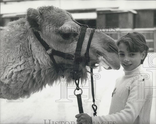 1968 Press Photo Lucy Wisdom Ice Skater With Camel Upper Norwood - Historic Images