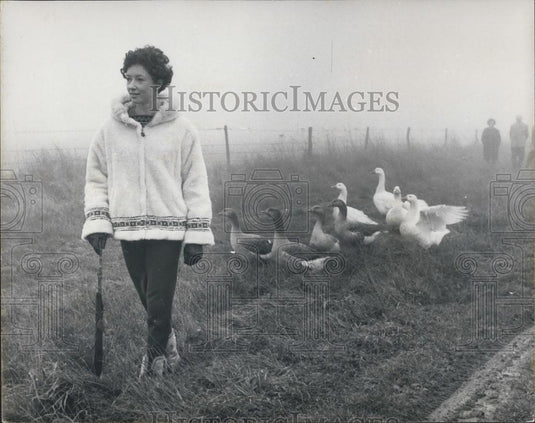 Press Photo Olympic Gold Medalist Ann Packer, Roman Road Ridgeway, Geese - Historic Images