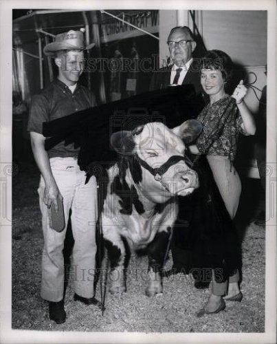 1963 Press Photo Livestock Steer Fair - Historic Images