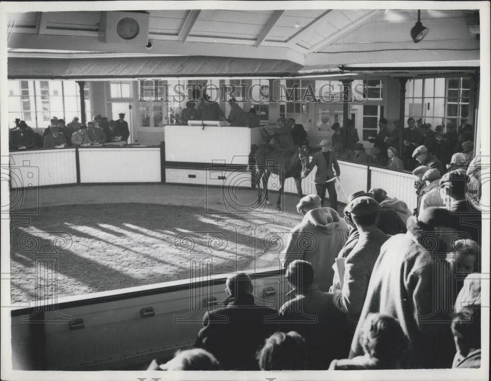 Press Photo General View of Bloodstock Sales at Newmarket - Historic Images