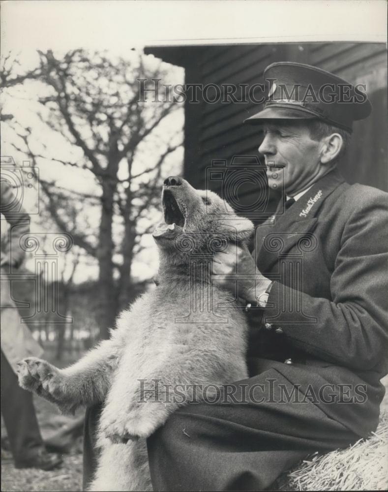 1963 Press Photo Whipsnade Zoo,Keeper Frank Maekin &amp; polar bear cub - Historic Images