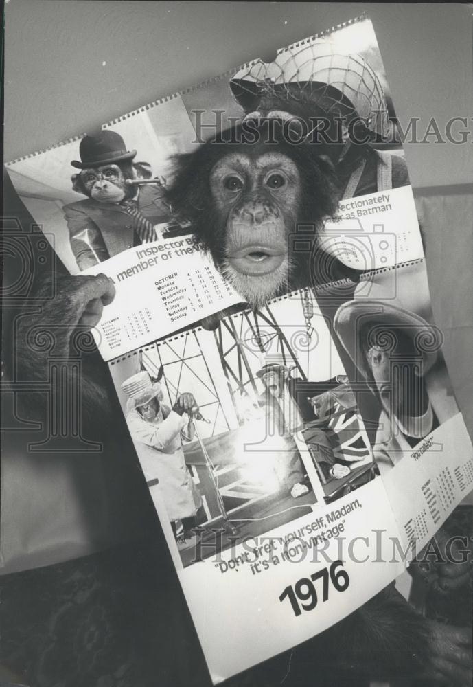 Press Photo Nobby &amp; Choppers Calendar For 1976 - Historic Images