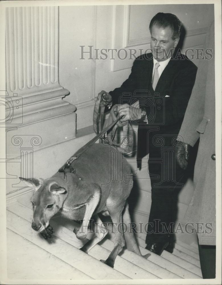 1958 Press Photo Kangaroo as Mascot at International Charity Fair - Historic Images