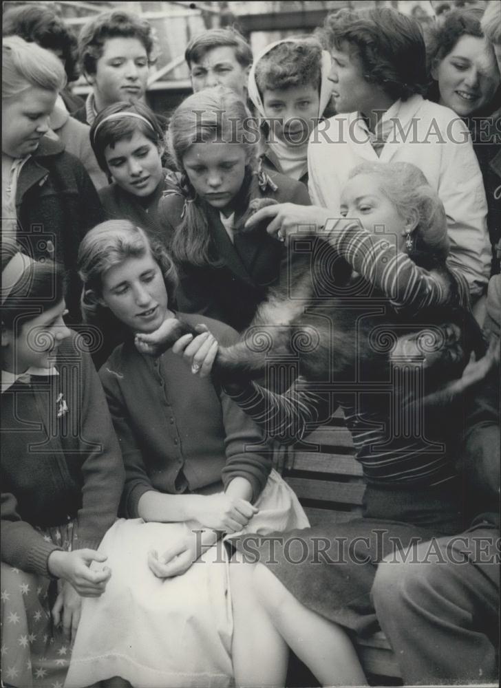 1958 Press Photo Children&#39;s Zoo - Battersea Park,children and a chimp - Historic Images