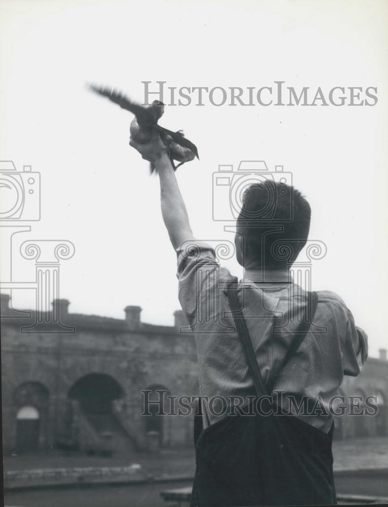 Press Photo Prisoner Releases Bird He Nursed Back to Health - Historic Images