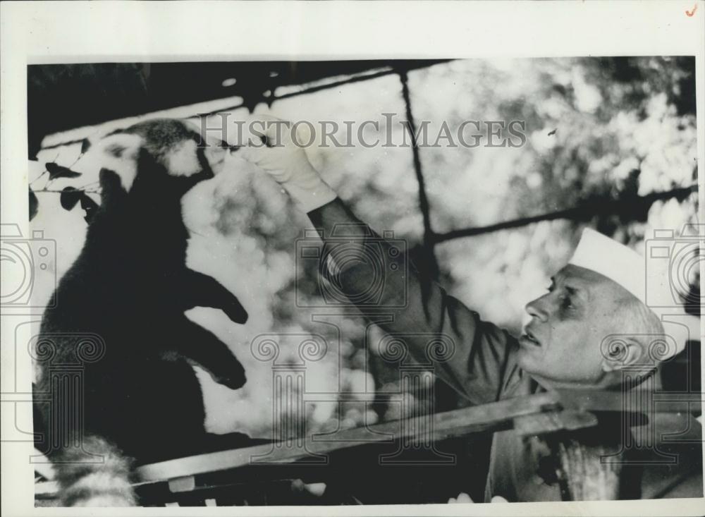 1958 Press Photo Indian Prime Minister Nehru Feeds Animal Private Zoo Birthday - Historic Images