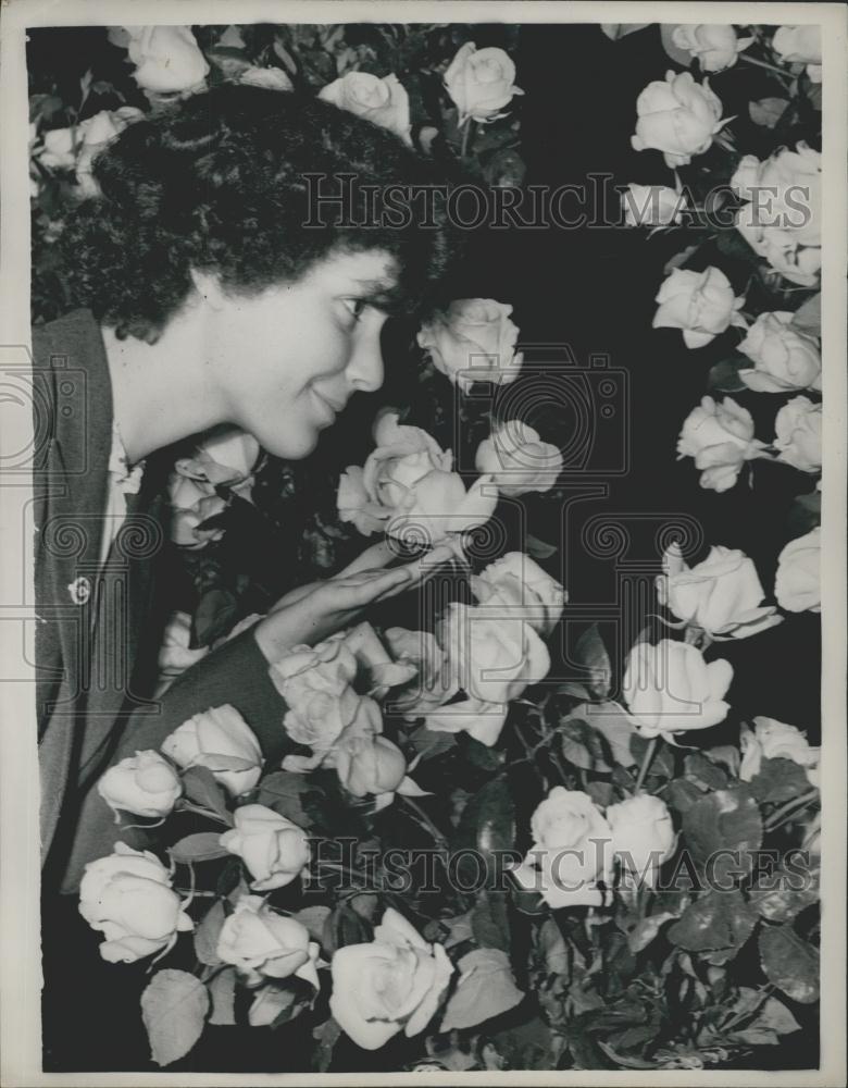 Press Photo Sylvia Gilbert of Peterborough admires Roses by Samuel McGredy - Historic Images