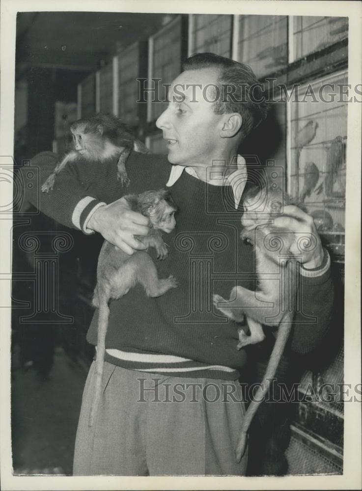 Press Photo Mr. John Palmer and three monkeys - Historic Images