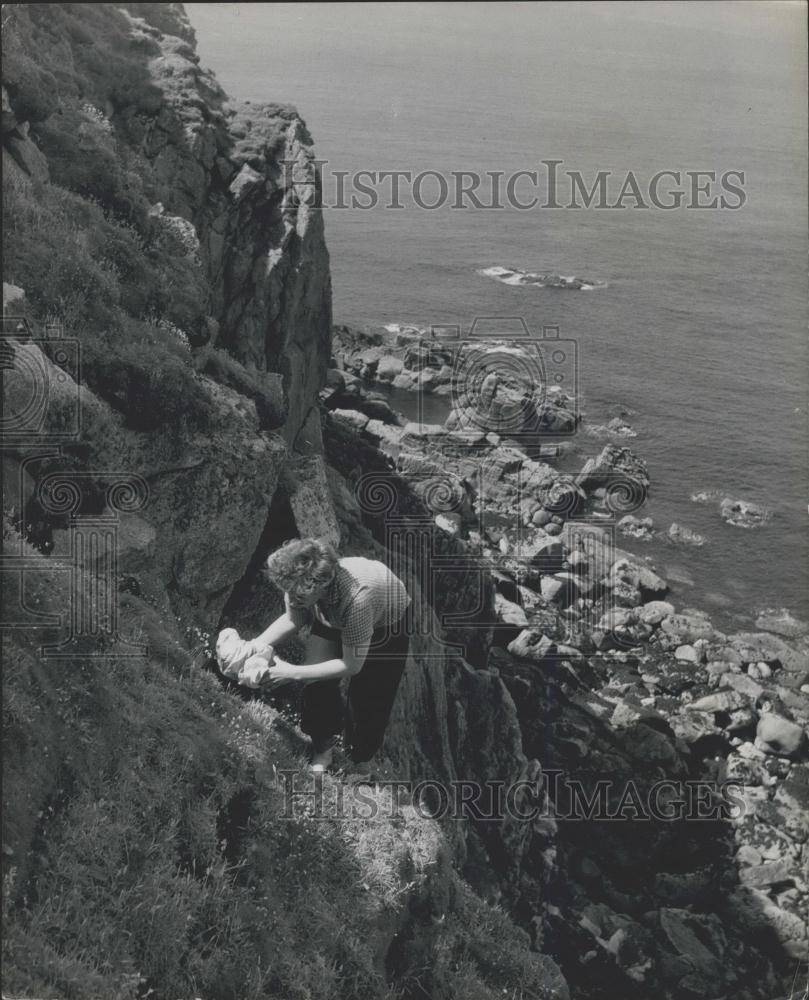 Press Photo Barbara Whitaker, Lundy Island - Historic Images