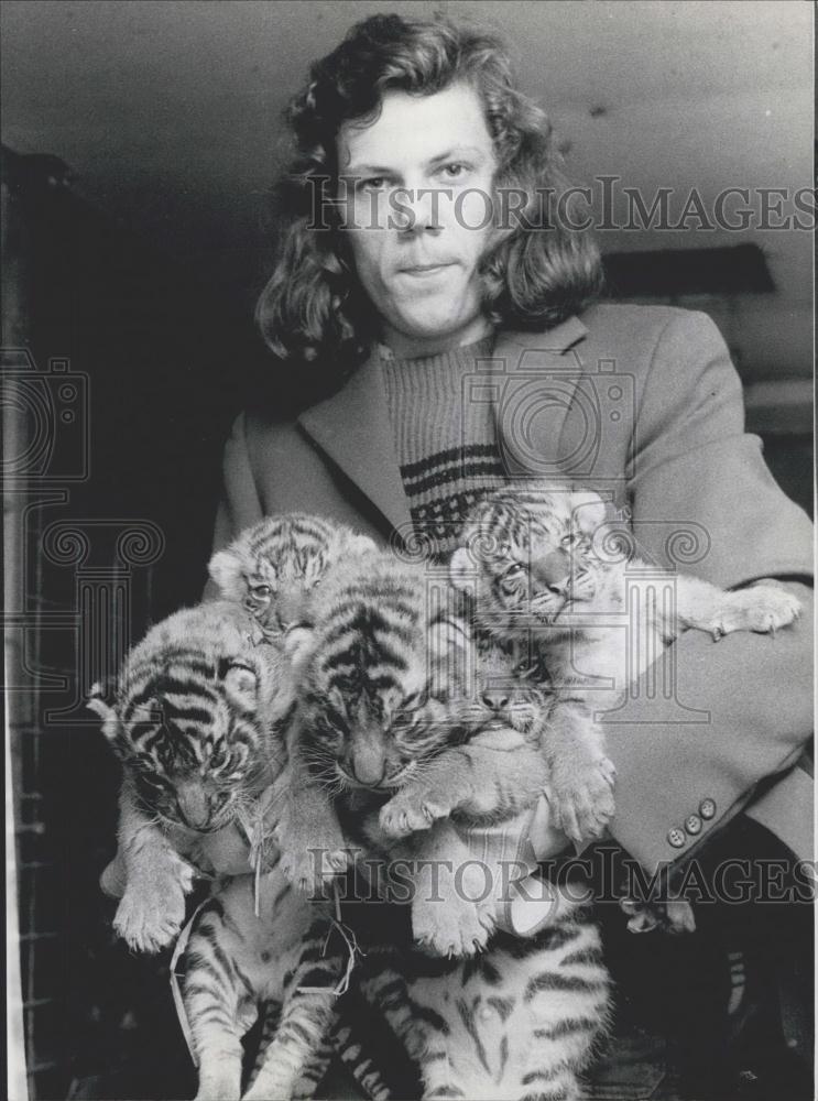 1974 Press Photo Tiger quintuplets born at the Krefeld Zoo - Historic Images