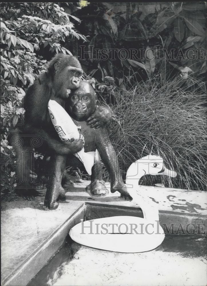 Press Photo Betsy, a gorilla lady of the Frankfurt Zoo - Historic Images