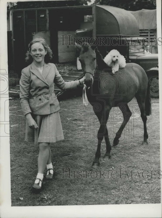 1953 Press Photo National Pony Society's Two-Day Show at Roehampion - Historic Images