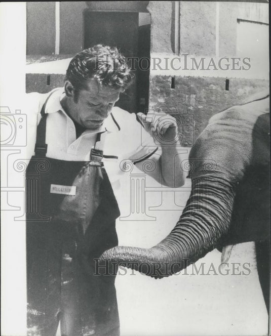 1979 Press Photo Pickpocket Elephant - Historic Images