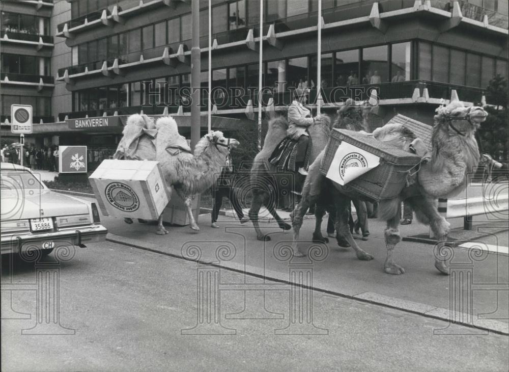 1983 Press Photo Moving to a new building using Camels - Historic Images