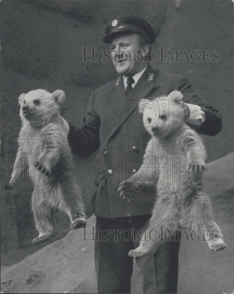 1974 Press Photo Rough and Tumble make their first appearance at the London Zoo - Historic Images