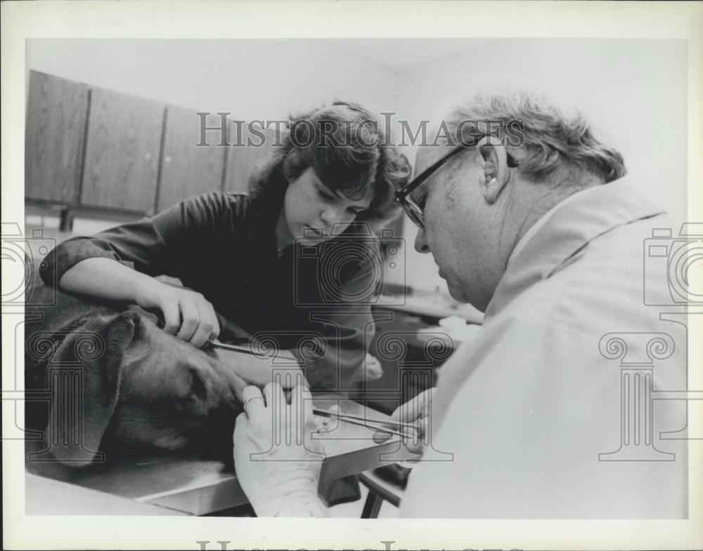 Press Photo Andrea Bradshaw, Volunteer Veterinarian&#39;s Assistant - Historic Images