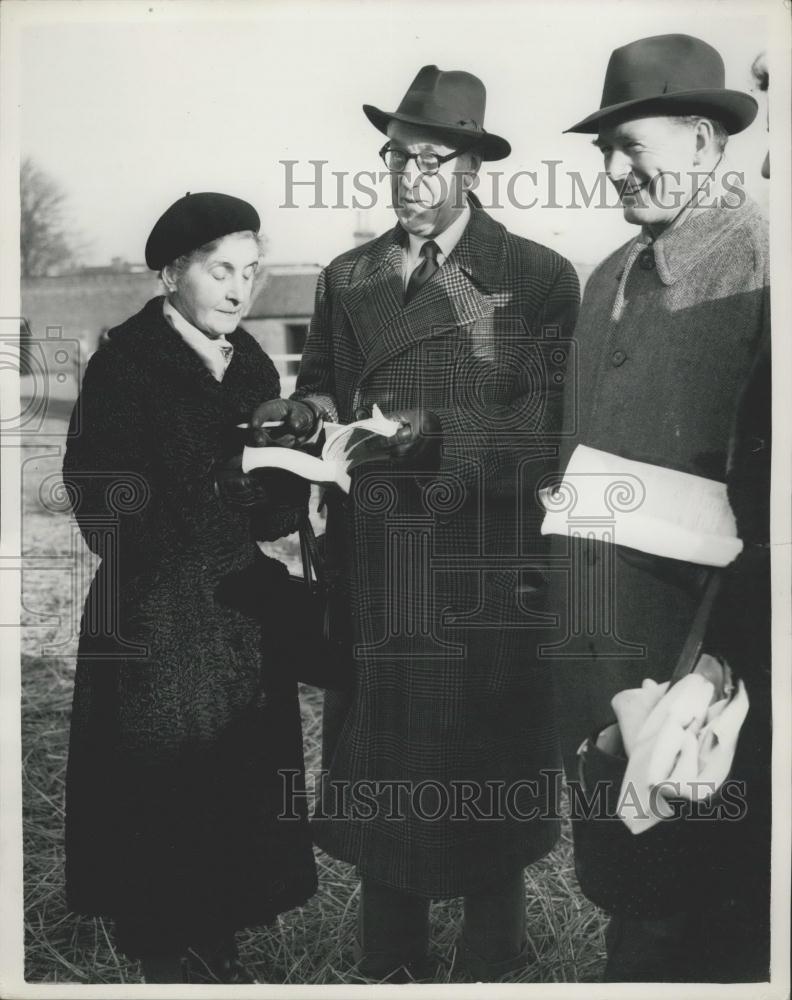 1954 Press Photo Bloodstock Sales at the Newmarket - Historic Images