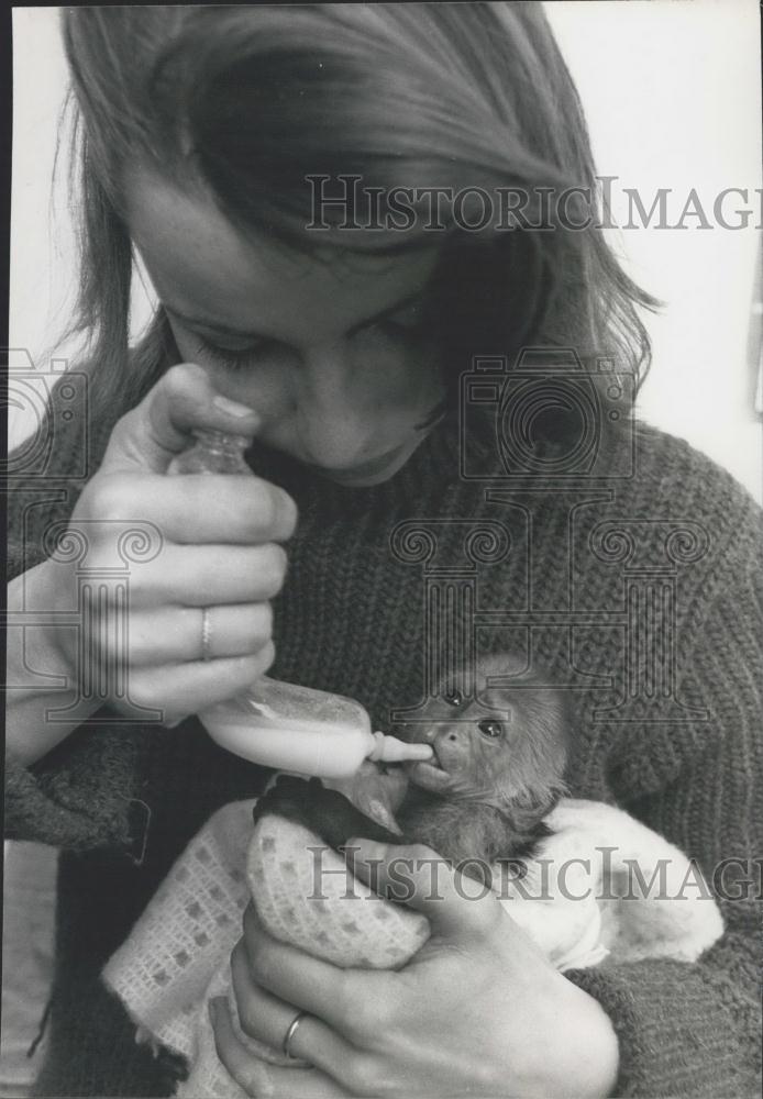 Press Photo Feeding, Baby Monkey - Historic Images