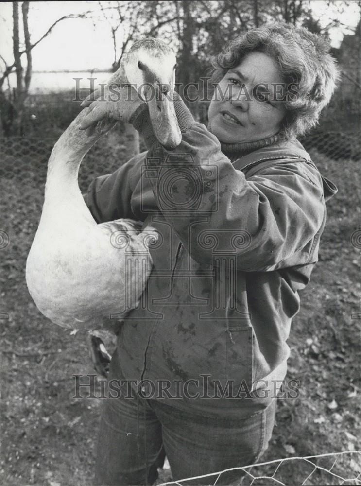 Press Photo Swan, Sheila Baker - Historic Images