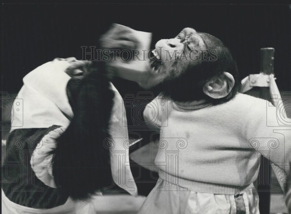 Press Photo A boxing Monkey gets his brow wiped when the round is over - Historic Images