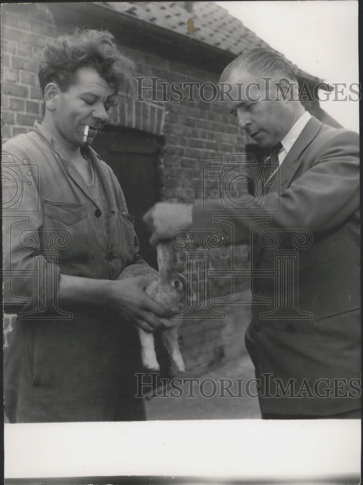 Press Photo Professor Louise De Corte From Brussels found cure for rabbit ills - Historic Images