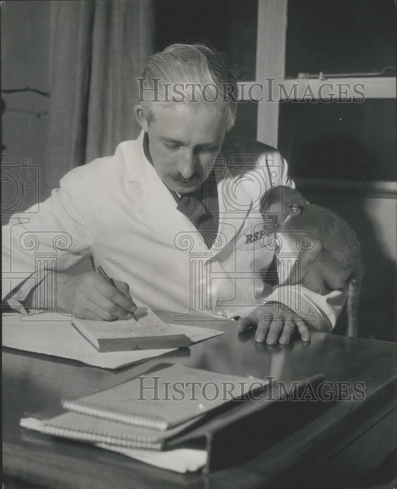 Press Photo Mr. Salom and Susie his monkey - Historic Images