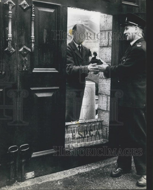 Press Photo Handing Over the Patient Birds Found On the Beach Covered In Oil - Historic Images