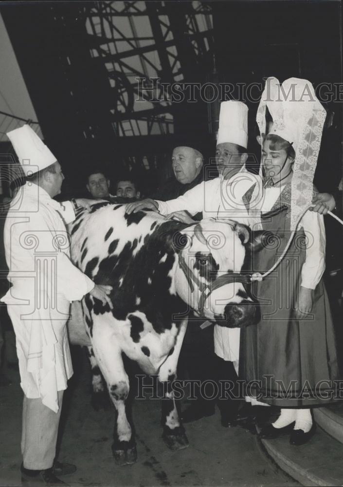 1968 Press Photo The Normandy Cow visits the Eiffel Tower - Historic Images