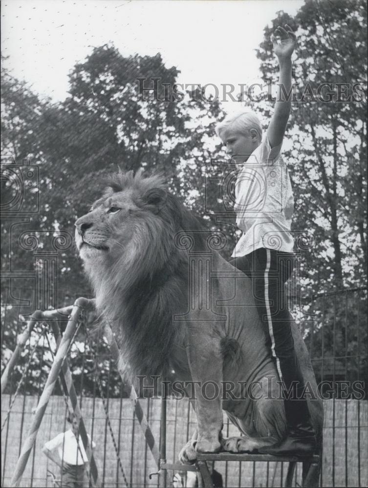 Press Photo Teddy Newmann and large male lion - Historic Images