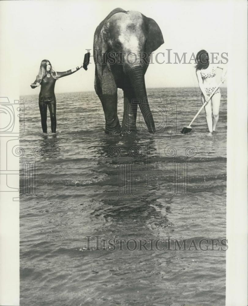 Press Photo Bathing the Zoo Elephant in the Ocean - Historic Images