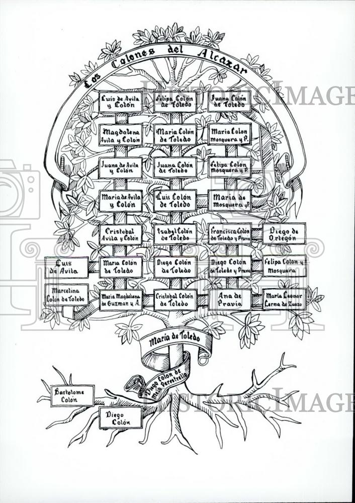 Press Photo Columbus family tree - Historic Images