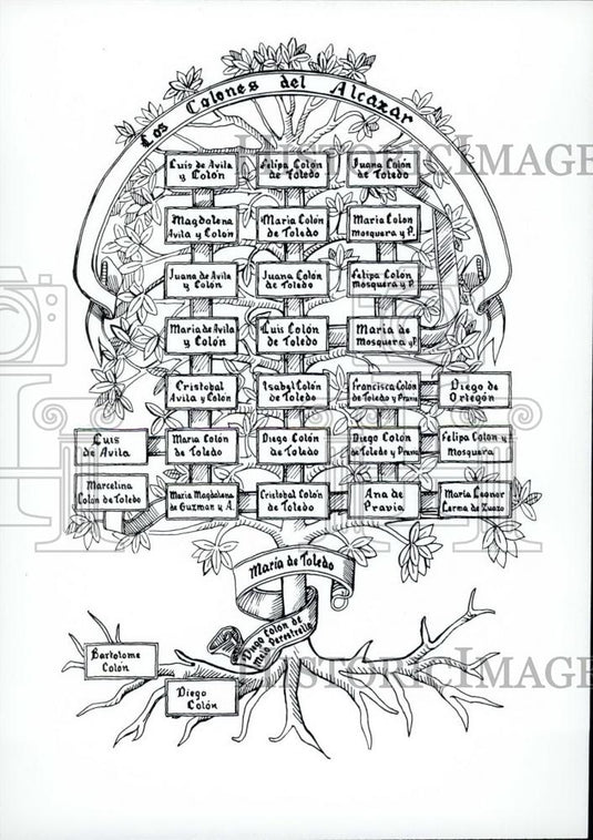 Press Photo Columbus family tree - Historic Images