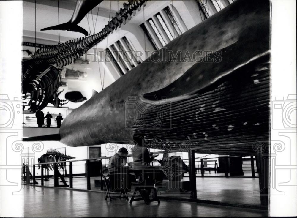 Press Photo youngsters sketch a close-up of part if a whale - Historic Images