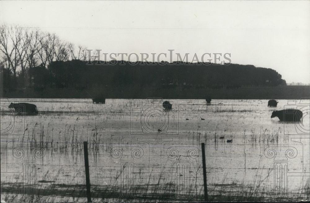 Press Photo Heavy Damage Causes the Floods in Argentina - Historic Images