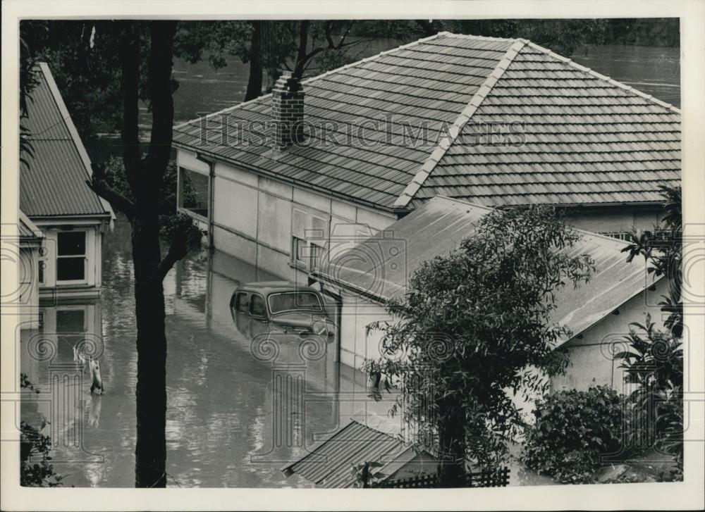 1956 Press Photo Floods In New South Wales Rising Water Catches People Unaware - Historic Images