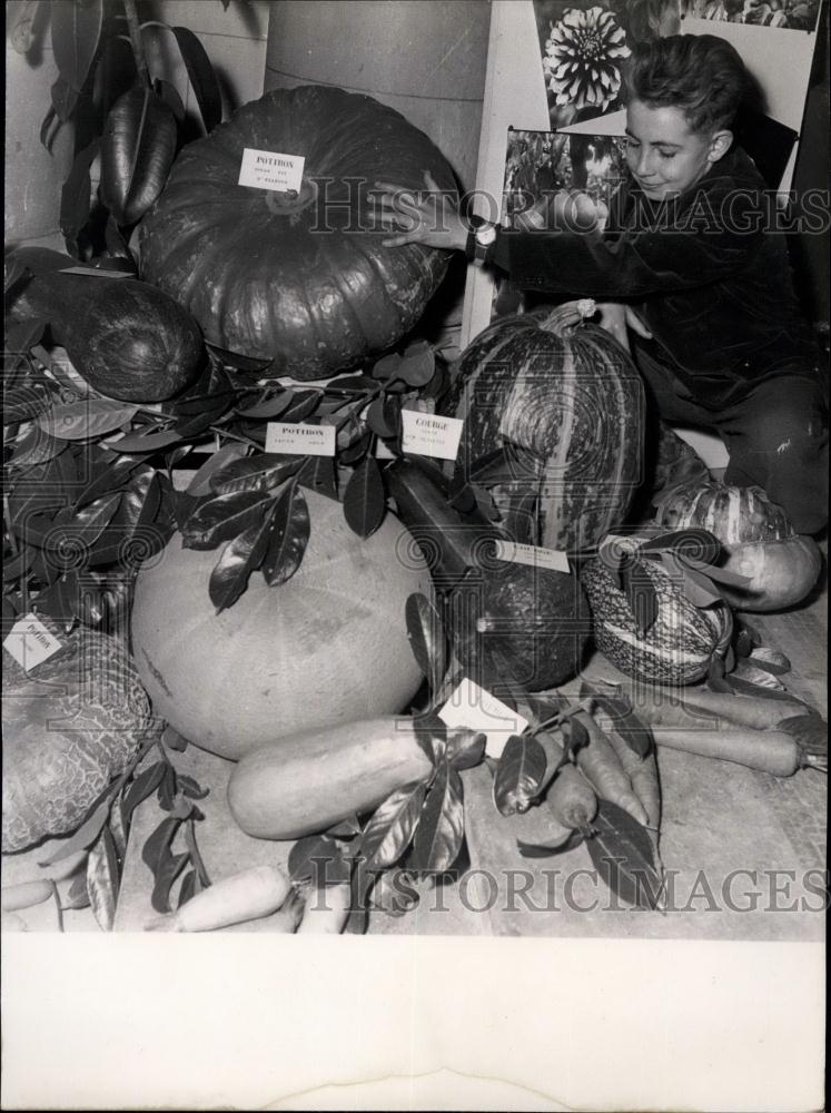 1953 Press Photo Horticultural Exhibition at Versailles - Historic Images