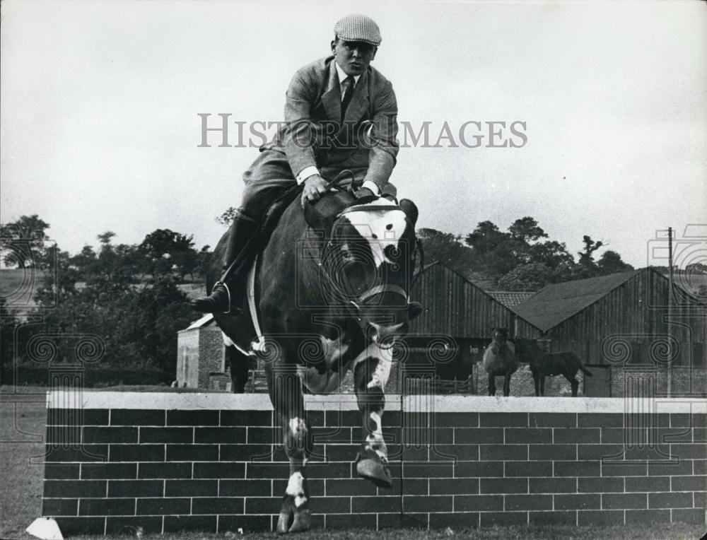 Press Photo Man Riding Cow Jumping Over Brick Wall - Historic Images