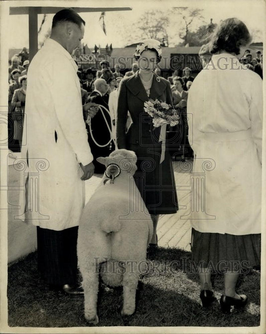 1957 Press Photo The Queen looks at a sheep in the West Midlands - Historic Images